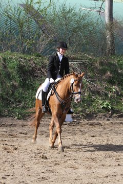 Bild 1169 - WBO-Turnier am 9.4.11